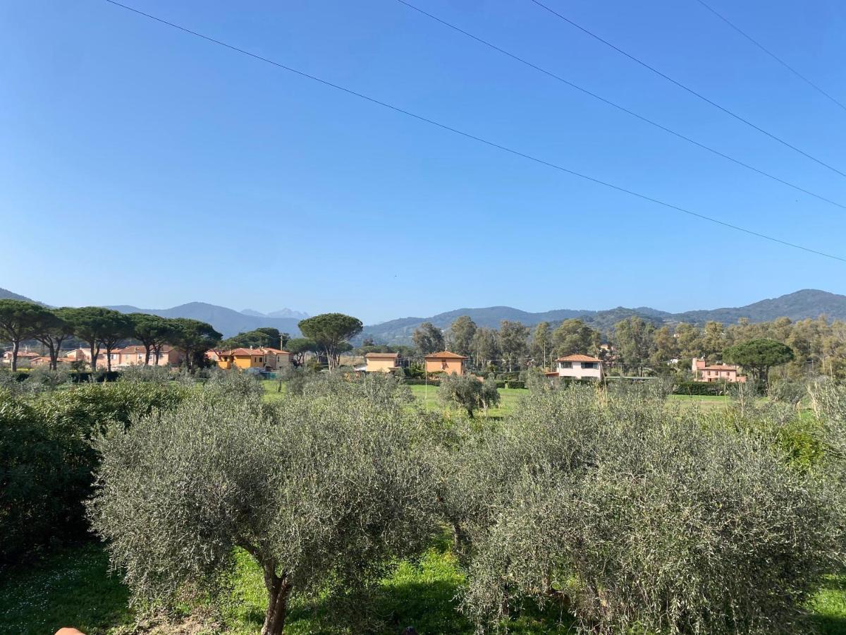 Residence Terme Isola D'Elba Srl Portoferraio Extérieur photo