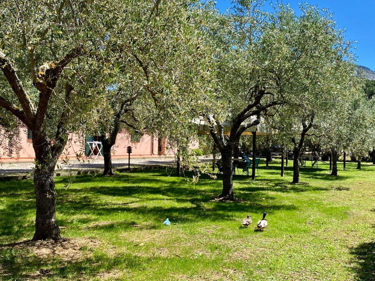 Residence Terme Isola D'Elba Srl Portoferraio Extérieur photo