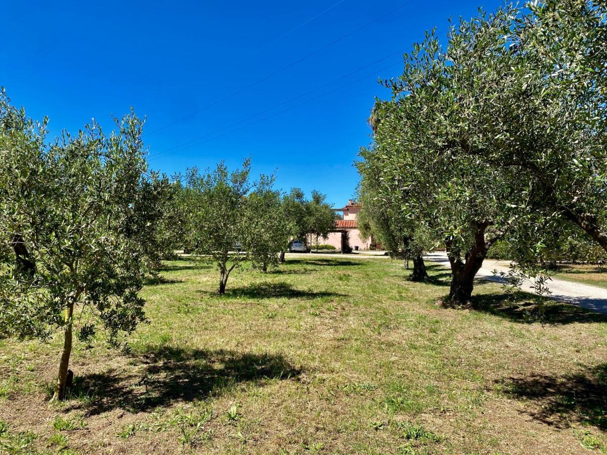 Residence Terme Isola D'Elba Srl Portoferraio Extérieur photo