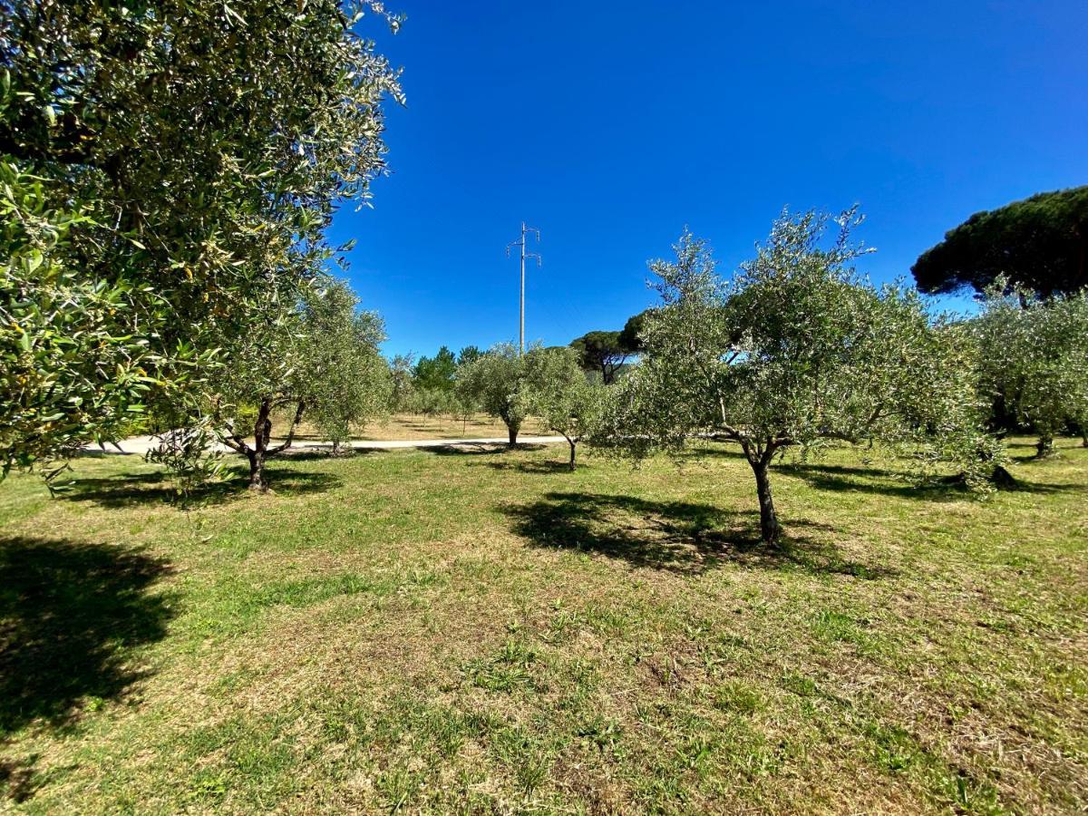 Residence Terme Isola D'Elba Srl Portoferraio Extérieur photo